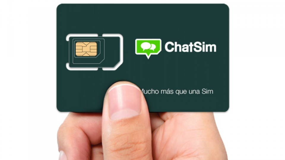 ChatSim